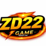 ZD22 Game